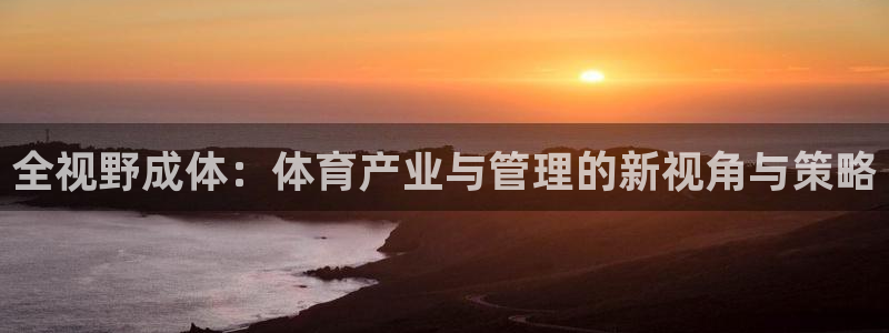 必一体育官方入口：全视野成体：体育产业与管理的新视角与策略