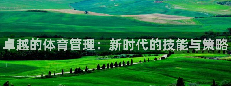 必一体育旧版：卓越的体育管理：新时代的技能与策略