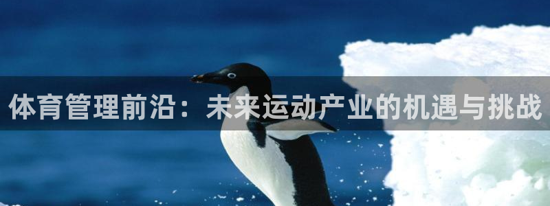 必一体育黑平台：体育管理前沿：未来运动产业的机遇与挑战