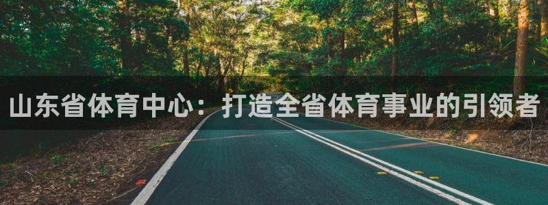 必一体育app官方下载入口：山东省体育中心：打造全省体育事业