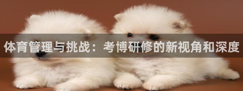 必一运动tieba.baidu.com：体育管理与挑战：考博