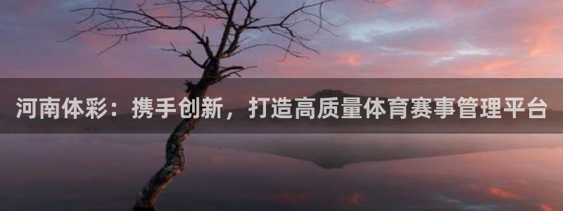 必一体育网页登录版官网：河南体彩：携手创新，打造高质量体育赛