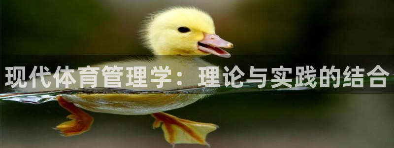 必一运动体育：现代体育管理学：理论与实践的结合