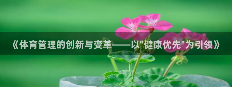 必一体育官网网址：《体育管理的创新与变革——以\