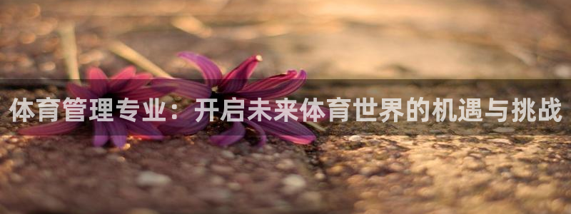 必一体育网页登录版官网：体育管理专业：开启未来体育世界的机遇