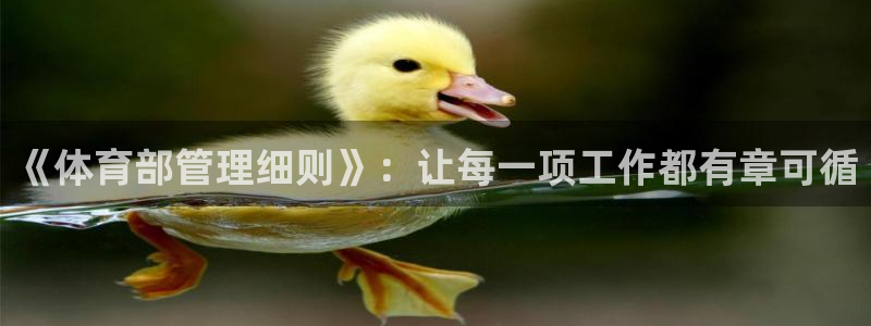 必一体育网页登录版官