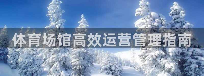 必一体育最新官网入口首页