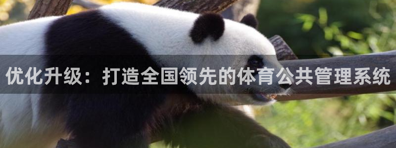 必一体育下载移动版：