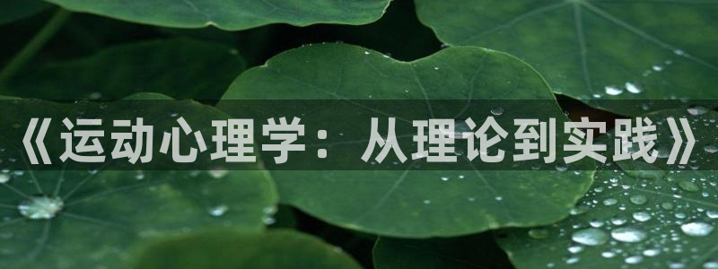 必一体育app官方下