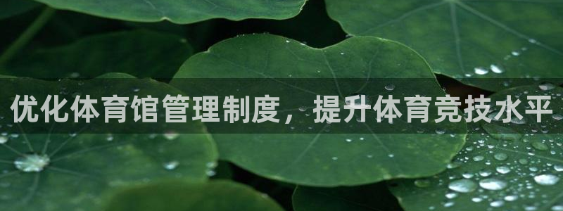 必一体育app官方网