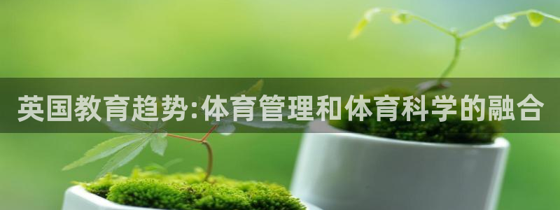 必一体育app下载最