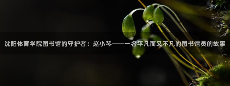 必一体育官方入口：沈