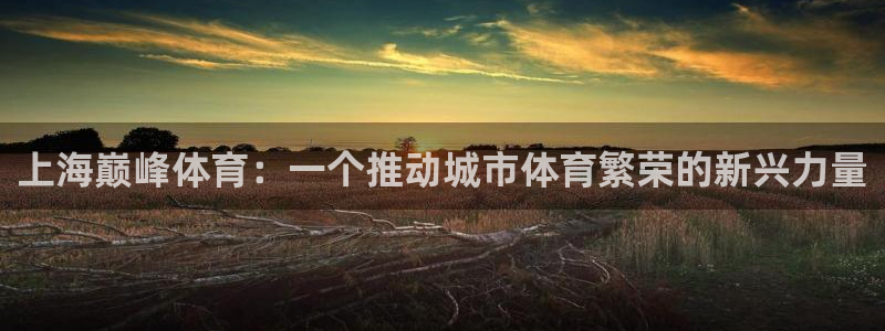 必一体育官网网站：上