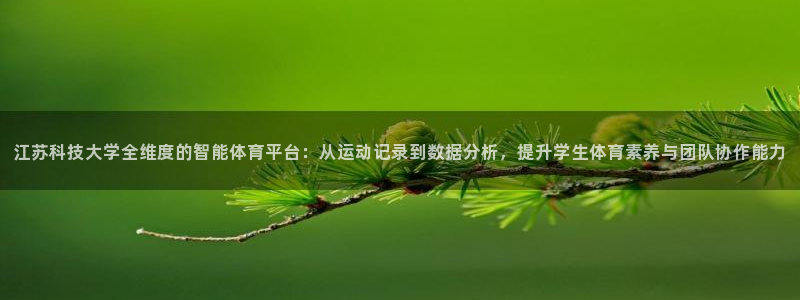 必一体育官网网址：江