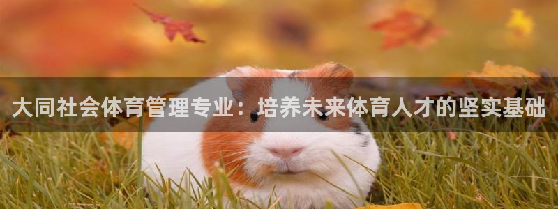 必一体育官网app：