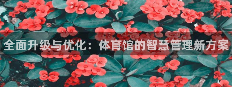 必一体育下载app下