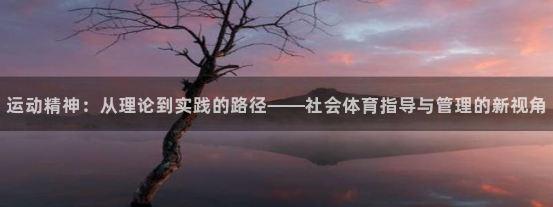 必一体育官网入口：运