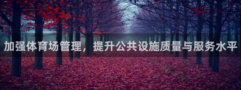 必一体育登录：加强体