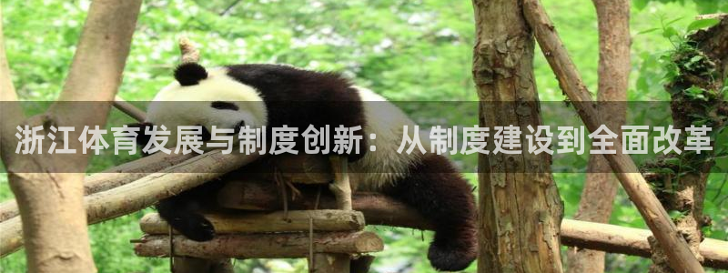 必一体育是哪里的台子